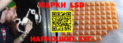 гидропоника Краснодар