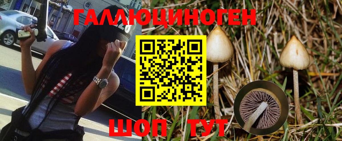 Галлюциногенные грибы мухоморы Курган