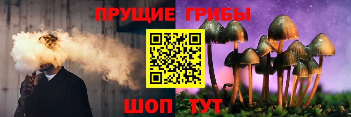 Псилоцибиновые грибы Cubensis  Вход с VPN  Курган 